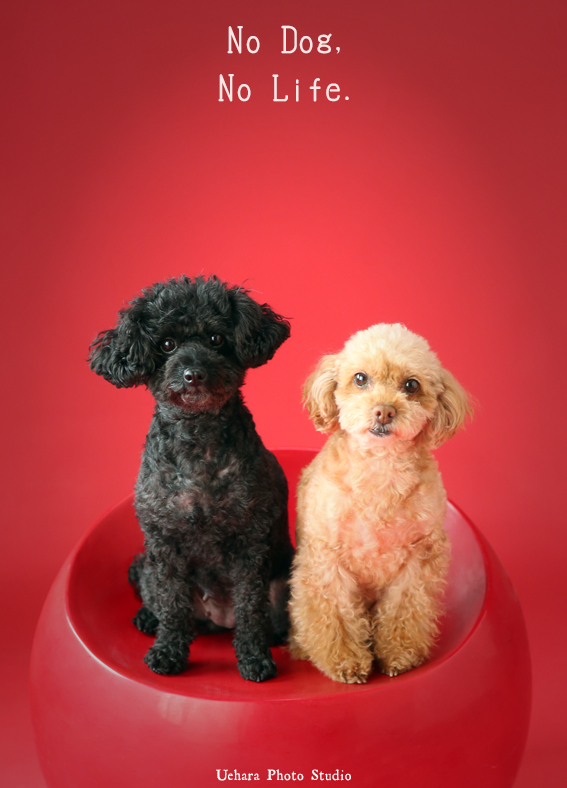 また30周年にも…