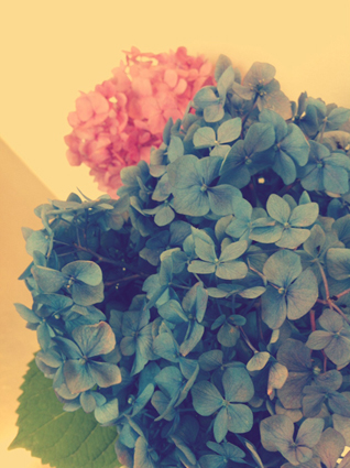 写真 (1)