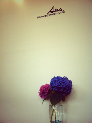 写真 (2)